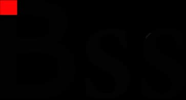 Logo BSS